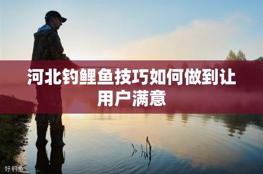 河北钓鲤鱼技巧如何做到让用户满意