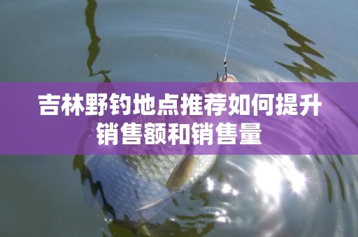 吉林野钓地点推荐如何提升销售额和销售量