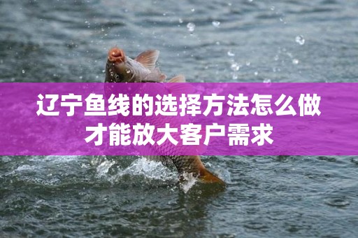 辽宁鱼线的选择方法怎么做才能放大客户需求