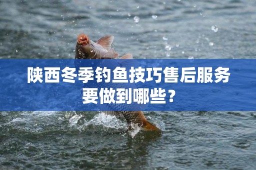 陕西冬季钓鱼技巧售后服务要做到哪些？