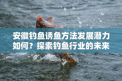 安徽钓鱼诱鱼方法发展潜力如何？探索钓鱼行业的未来