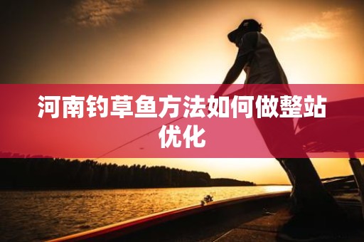河南钓草鱼方法如何做整站优化