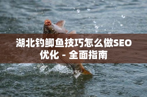 湖北钓鲫鱼技巧怎么做SEO优化 - 全面指南