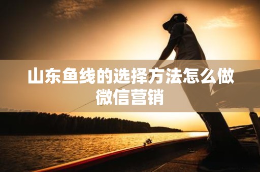 山东鱼线的选择方法怎么做微信营销