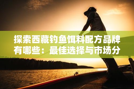 探索西藏钓鱼饵料配方品牌有哪些：最佳选择与市场分析