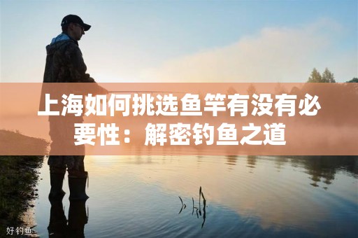 上海如何挑选鱼竿有没有必要性：解密钓鱼之道