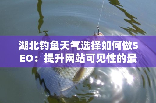 湖北钓鱼天气选择如何做SEO：提升网站可见性的最佳实践