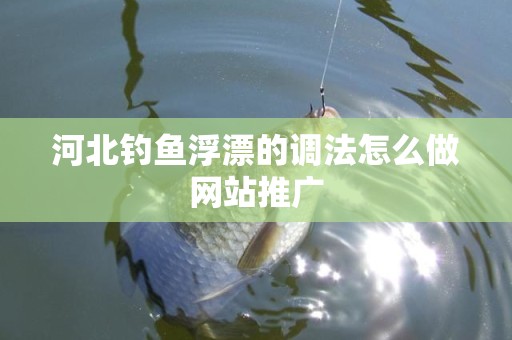 河北钓鱼浮漂的调法怎么做网站推广