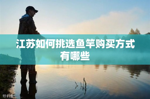 江苏如何挑选鱼竿购买方式有哪些