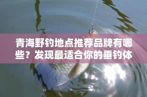青海野钓地点推荐品牌有哪些？发现最适合你的垂钓体验