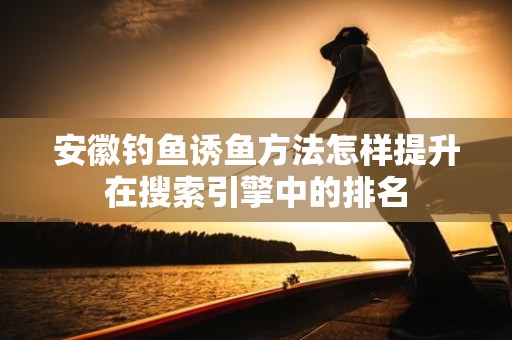 安徽钓鱼诱鱼方法怎样提升在搜索引擎中的排名