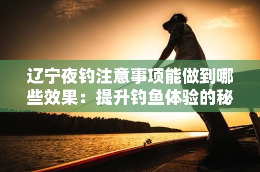辽宁夜钓注意事项能做到哪些效果：提升钓鱼体验的秘笈