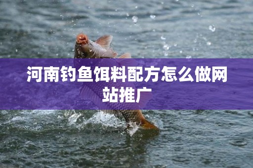 河南钓鱼饵料配方怎么做网站推广