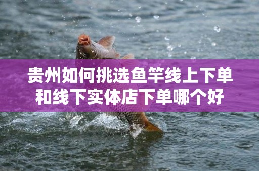 贵州如何挑选鱼竿线上下单和线下实体店下单哪个好