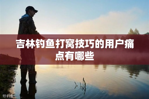 吉林钓鱼打窝技巧的用户痛点有哪些