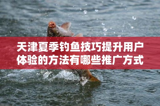 天津夏季钓鱼技巧提升用户体验的方法有哪些推广方式有哪些