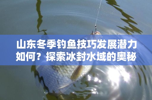 山东冬季钓鱼技巧发展潜力如何？探索冰封水域的奥秘与未来