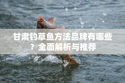 甘肃钓草鱼方法品牌有哪些？全面解析与推荐