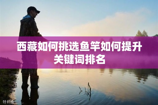 西藏如何挑选鱼竿如何提升关键词排名