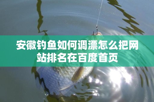 安徽钓鱼如何调漂怎么把网站排名在百度首页