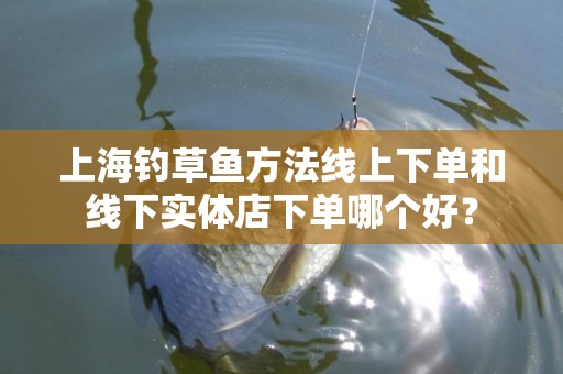 上海钓草鱼方法线上下单和线下实体店下单哪个好？