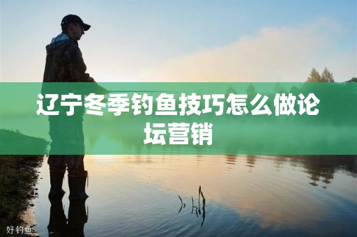 辽宁冬季钓鱼技巧怎么做论坛营销