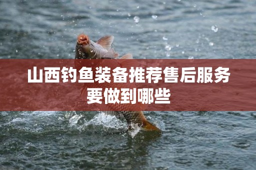 山西钓鱼装备推荐售后服务要做到哪些