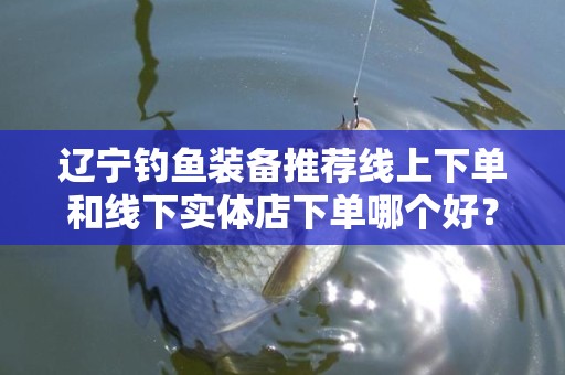 辽宁钓鱼装备推荐线上下单和线下实体店下单哪个好？