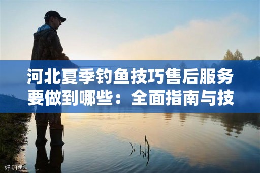 河北夏季钓鱼技巧售后服务要做到哪些：全面指南与技巧