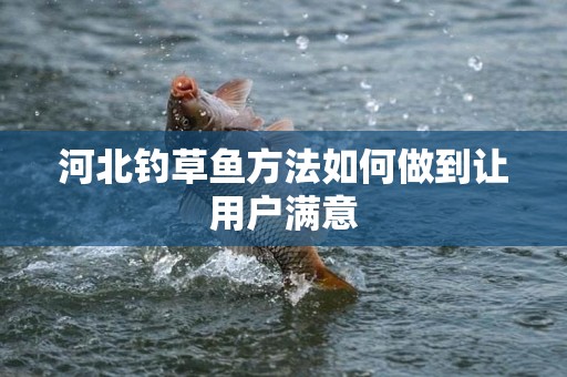 河北钓草鱼方法如何做到让用户满意