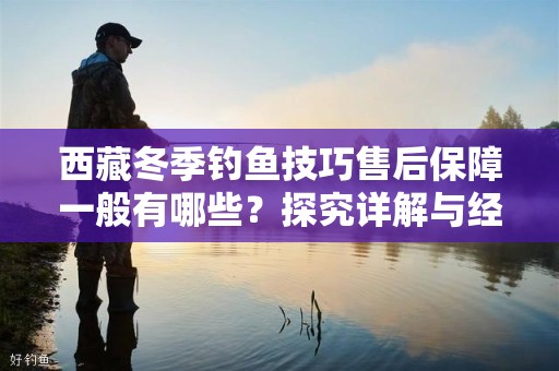 西藏冬季钓鱼技巧售后保障一般有哪些？探究详解与经验分享