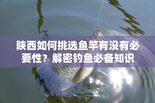 陕西如何挑选鱼竿有没有必要性？解密钓鱼必备知识