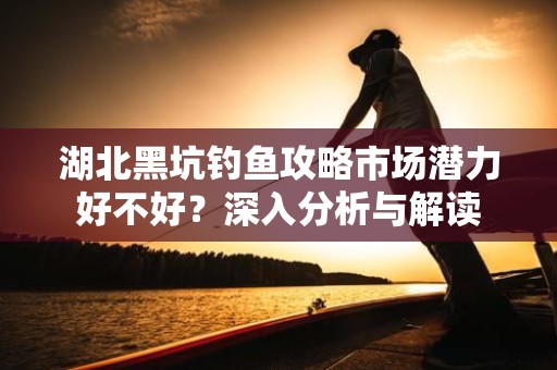 湖北黑坑钓鱼攻略市场潜力好不好？深入分析与解读