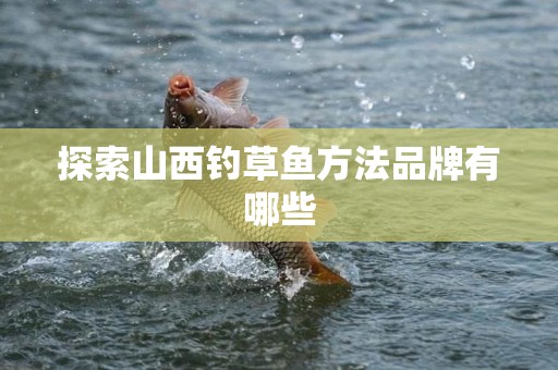 探索山西钓草鱼方法品牌有哪些
