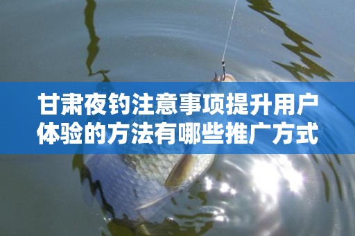 甘肃夜钓注意事项提升用户体验的方法有哪些推广方式有哪些