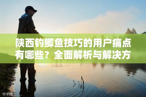 陕西钓鲫鱼技巧的用户痛点有哪些？全面解析与解决方案