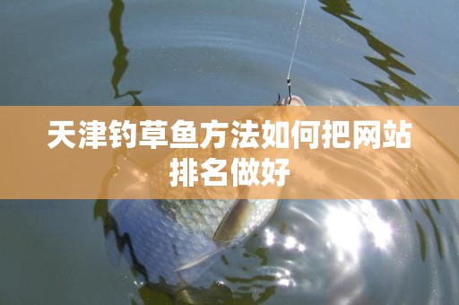 天津钓草鱼方法如何把网站排名做好