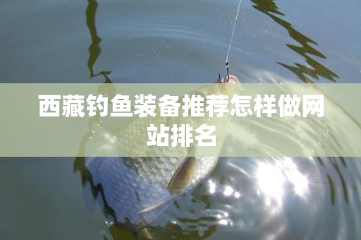 西藏钓鱼装备推荐怎样做网站排名
