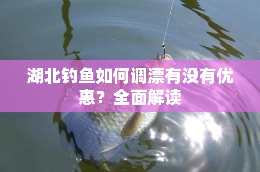 湖北钓鱼如何调漂有没有优惠？全面解读