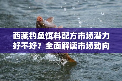 西藏钓鱼饵料配方市场潜力好不好？全面解读市场动向