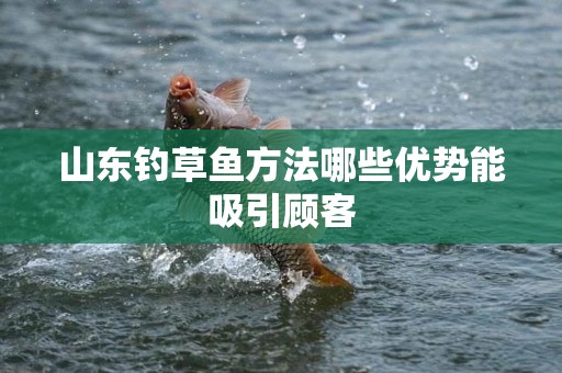 山东钓草鱼方法哪些优势能吸引顾客
