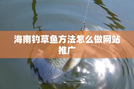 海南钓草鱼方法怎么做网站推广