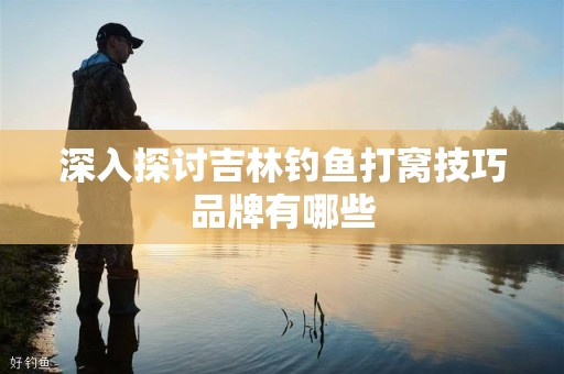 深入探讨吉林钓鱼打窝技巧品牌有哪些