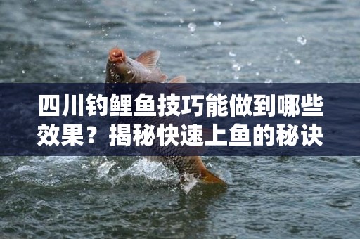 四川钓鲤鱼技巧能做到哪些效果？揭秘快速上鱼的秘诀