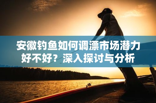 安徽钓鱼如何调漂市场潜力好不好？深入探讨与分析