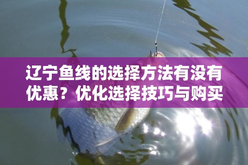 辽宁鱼线的选择方法有没有优惠？优化选择技巧与购买建议