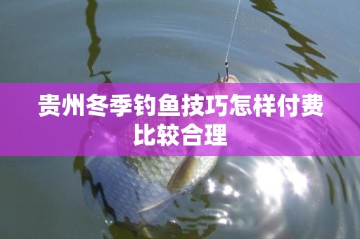 贵州冬季钓鱼技巧怎样付费比较合理