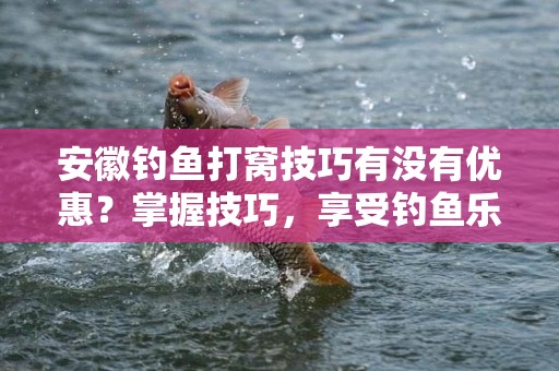安徽钓鱼打窝技巧有没有优惠？掌握技巧，享受钓鱼乐趣