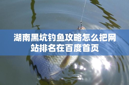 湖南黑坑钓鱼攻略怎么把网站排名在百度首页
