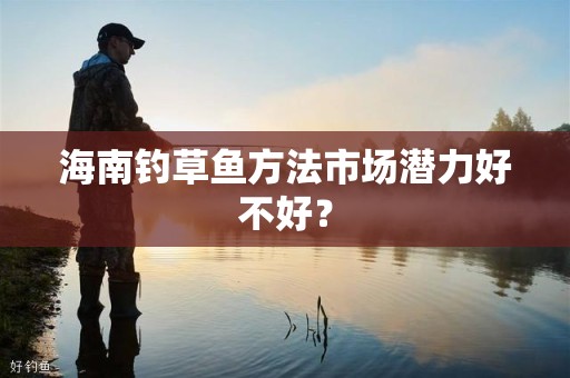 海南钓草鱼方法市场潜力好不好？